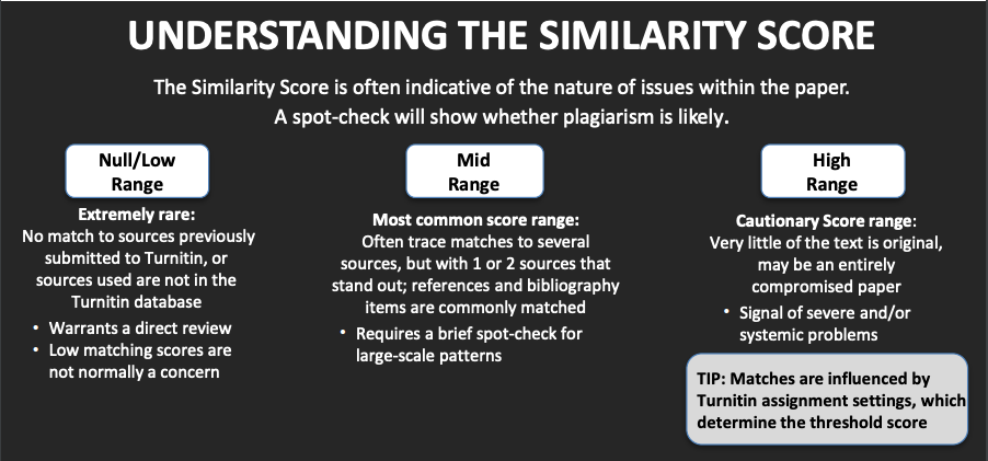 turnitin score meaning